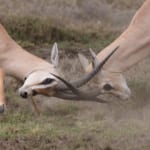 営業の引き継ぎで起こるトラブルとは？｜防止策とツール6選を紹介| Senses Lab.|top